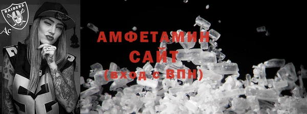шишки Пересвет