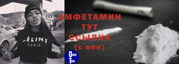 шишки Пересвет