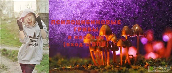 шишки Пересвет