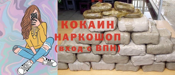 шишки Пересвет