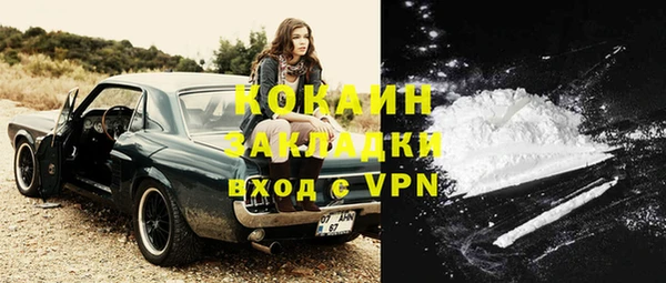 шишки Пересвет