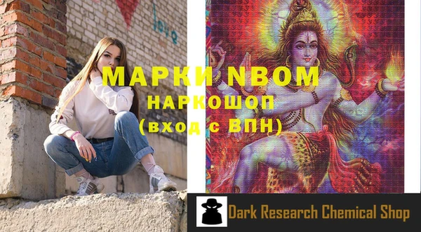 шишки Пересвет