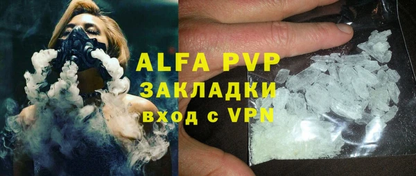 шишки Пересвет