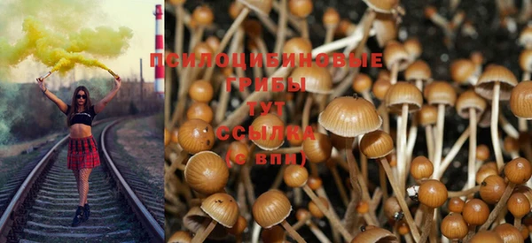 тгк Пестово