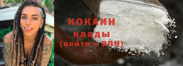 тгк Пестово