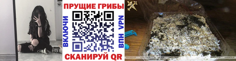 Купить  Солигалич  Галлюциногенные грибы MAGIC MUSHROOMS 